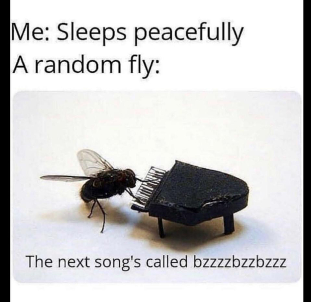 Too true bzzbzzzbzzz
