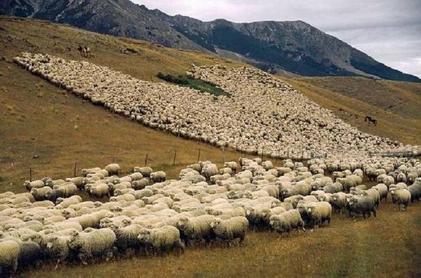 Took a picture walking past the Apple store today