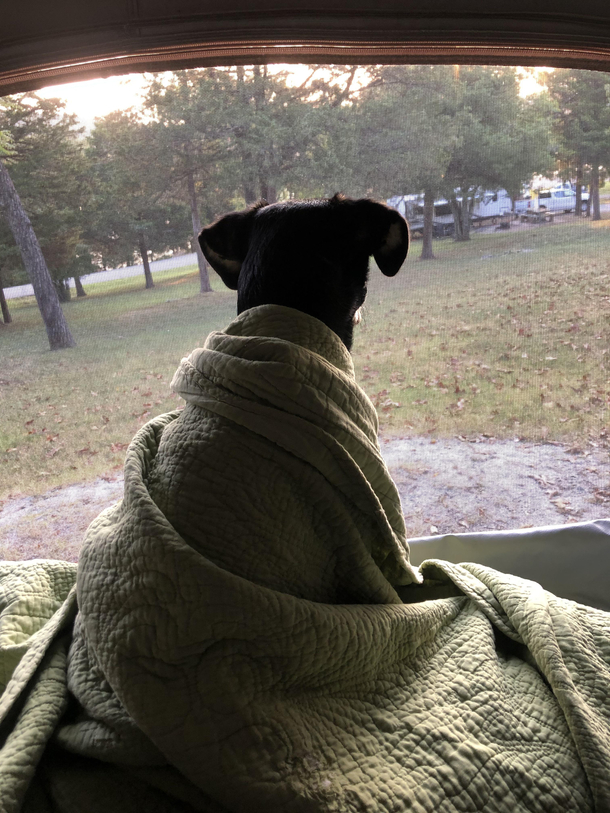 Took her camping for the first time she had been up for hours watching squirrels