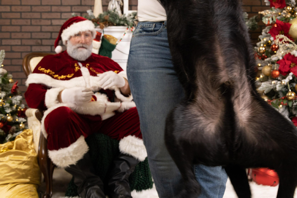 Took our dog for Santa pictures I got this in the photo package as an -extra-