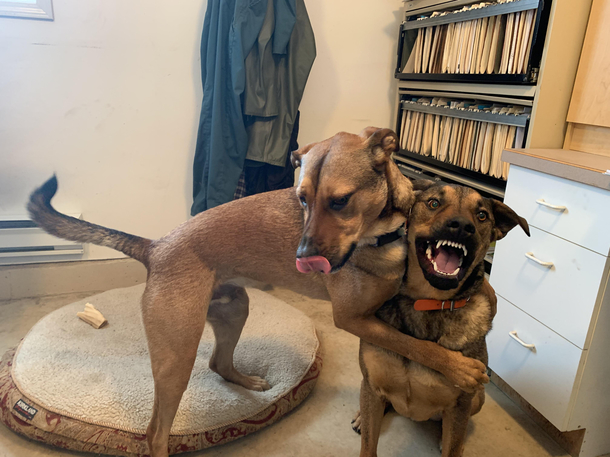Took the boys to work today and they were pretty excited about it