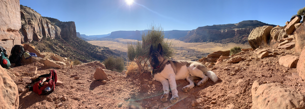 Took the greatest picture of my life at Indian Creek in Utah on Monday