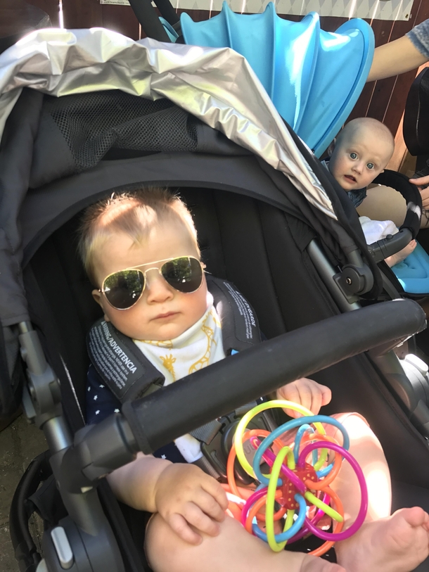 Took this photo of my baby looking cool in his shades