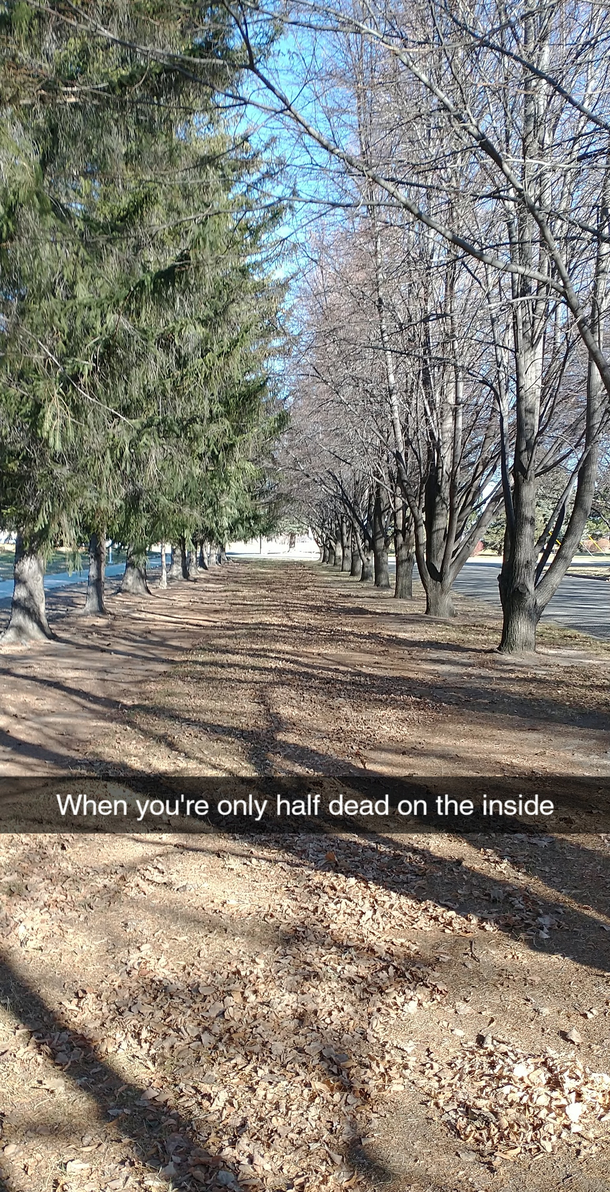 Took this pic at my local college