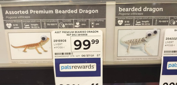Took this pic today Someones a comedian