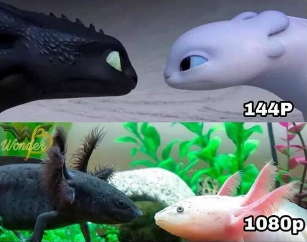 Toothless arms gf