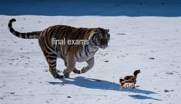 Totally me right now