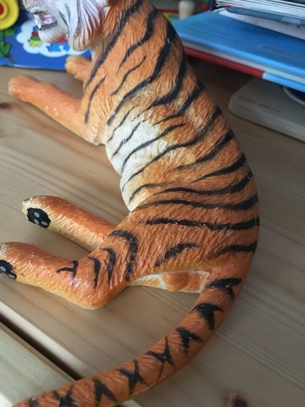 Toy manufacturer felt my sons tiger needed to be as accurate as possible