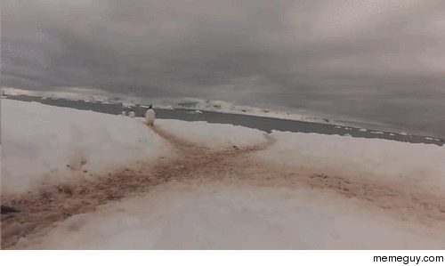 Traffic in Antartica