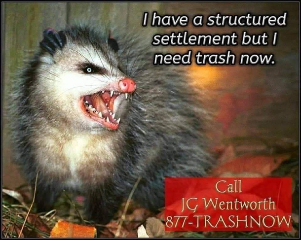 -trashnow -trashnow