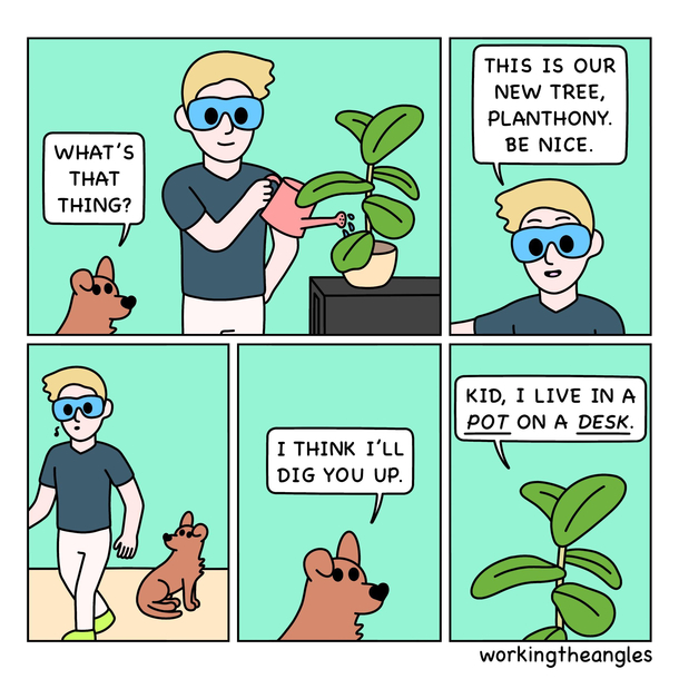 Tree Bargain 