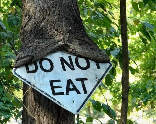 tree dont care