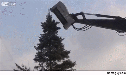 Tree Mulching Head
