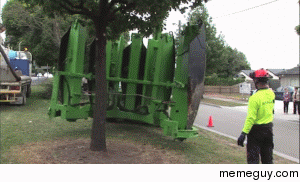 Tree relocation