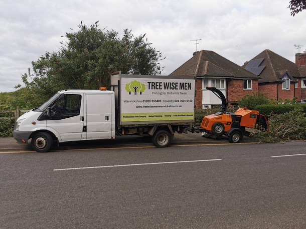 Tree surgeon UK