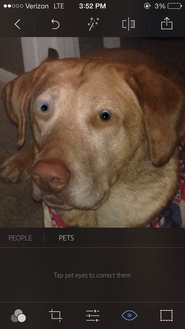 Tried a pet eye corrector Needless to say it didnt work
