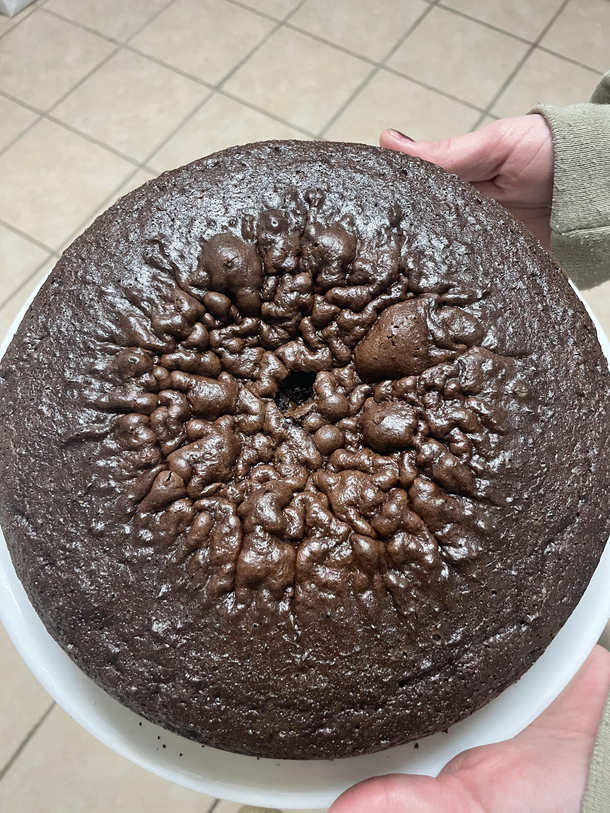Tried to bake a box cake and it looks like a butthole
