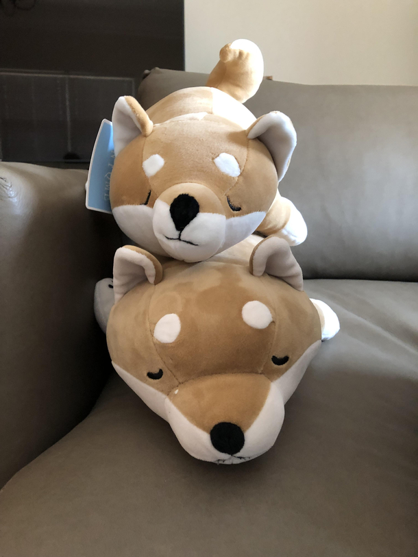 Tried to buy another Shiba plush like the bottom one