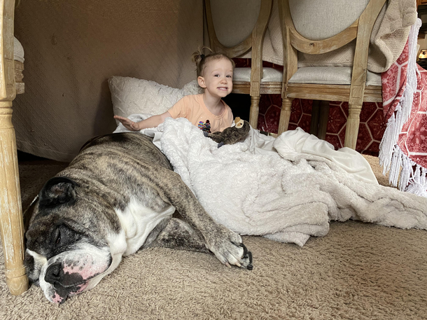 Tried to take a cute picture of my daughter and dog Ended up with a trophy kill picture instead