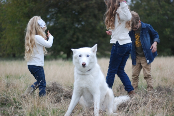 Tried to take family photos
