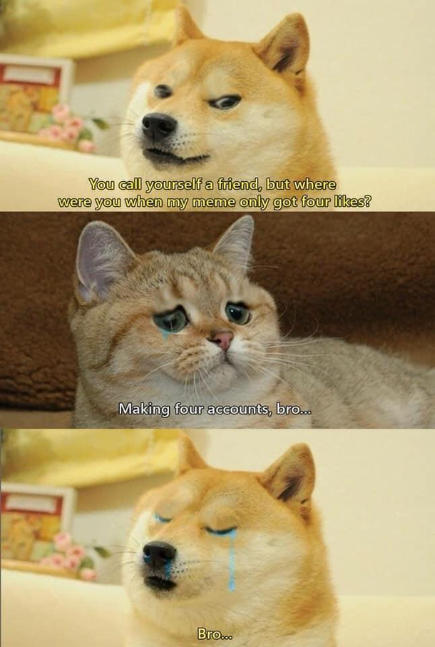 True friends