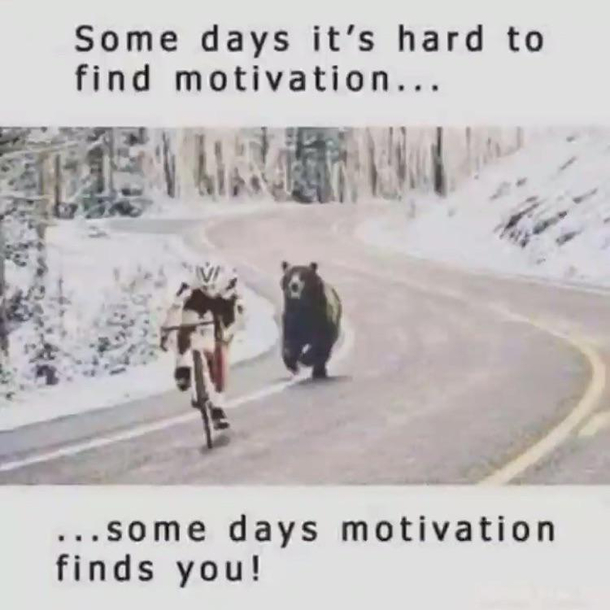 True motivation