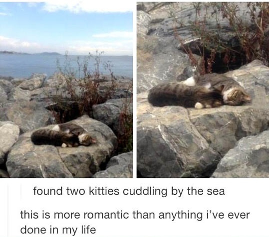 True relationship goals