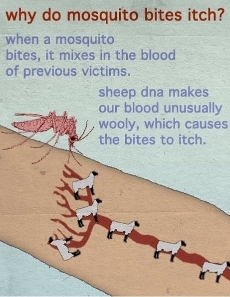 True Science