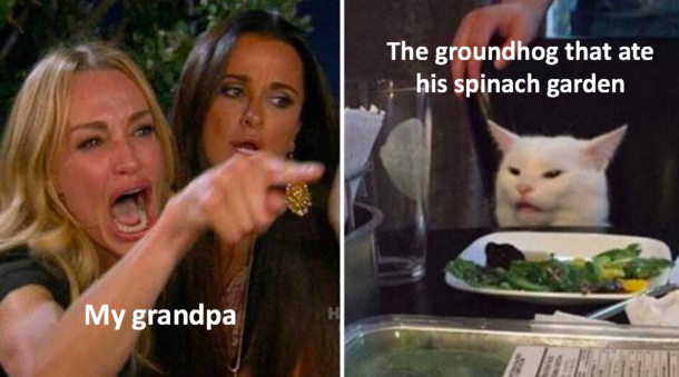 True story