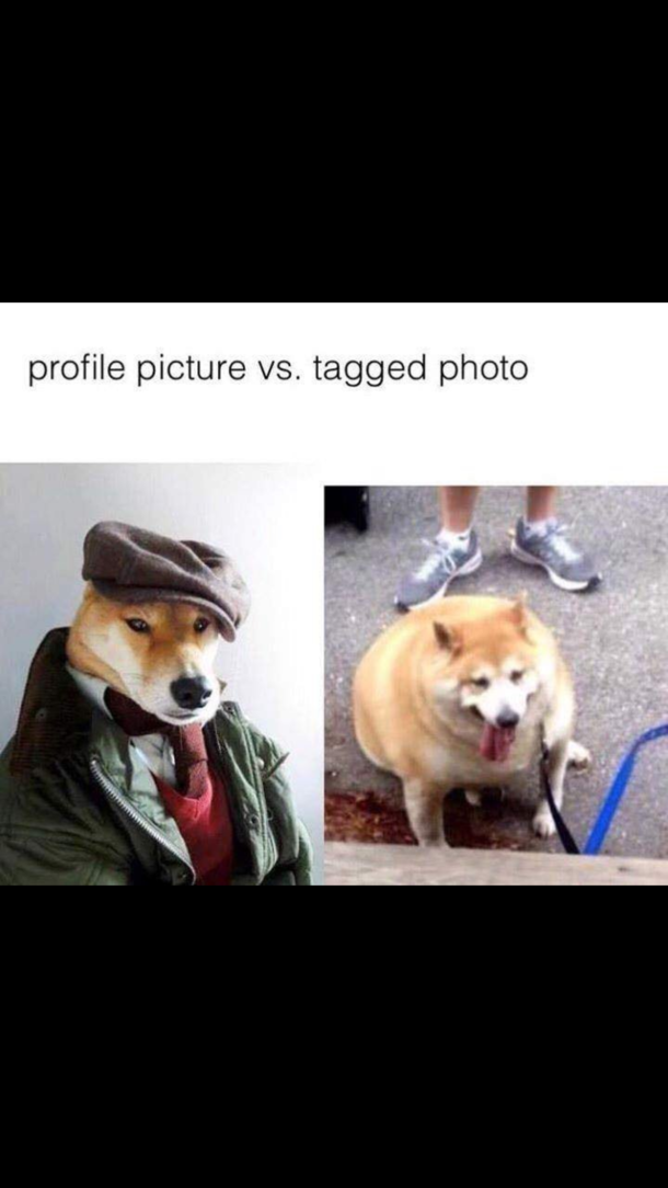 True that