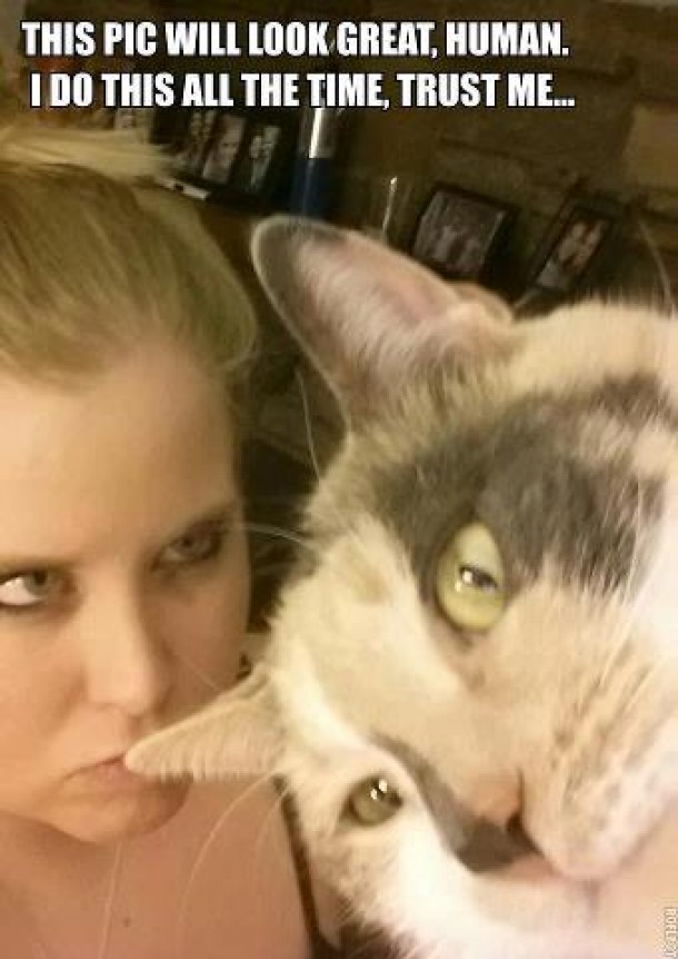 Trust me human