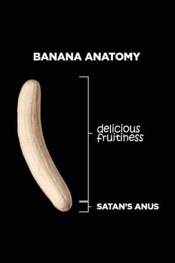 Trust me Im a bananatomist