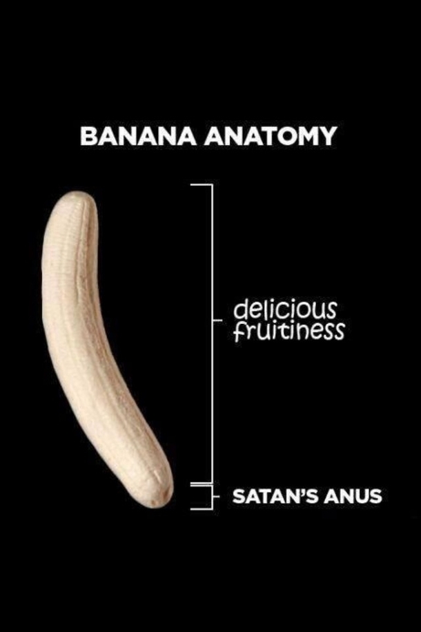 Trust me Im a fruit anatomist