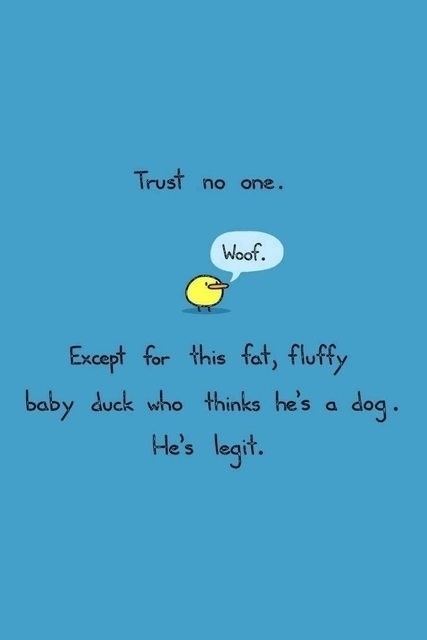 Trust no one