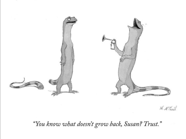 Trust Susan trust