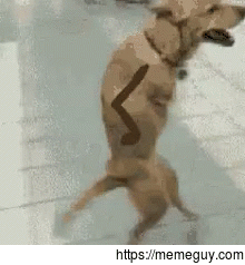 Try to catch me