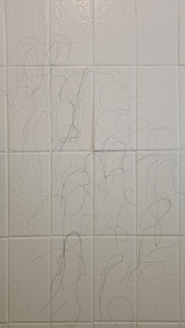Trying to decipher the cryptic messages my SO leaves on the shower wall