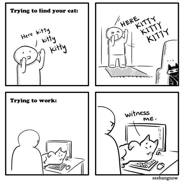 Trying to find your cat