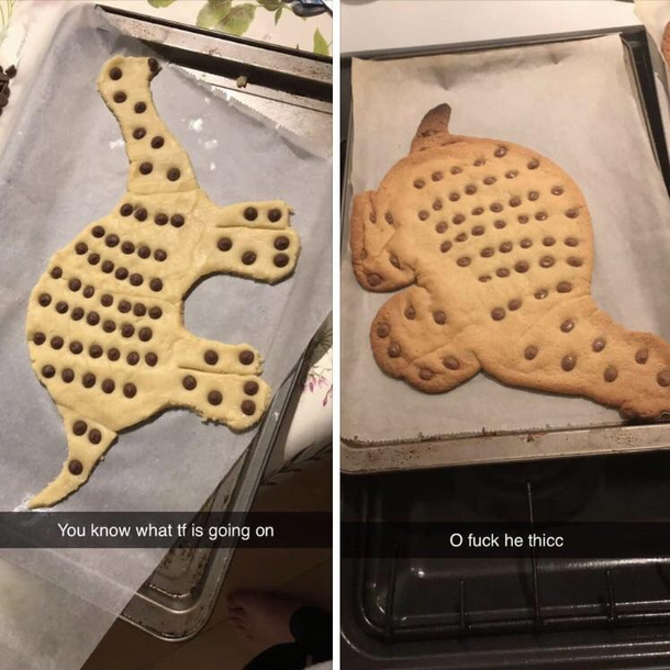Trying to make dinosaur cookies