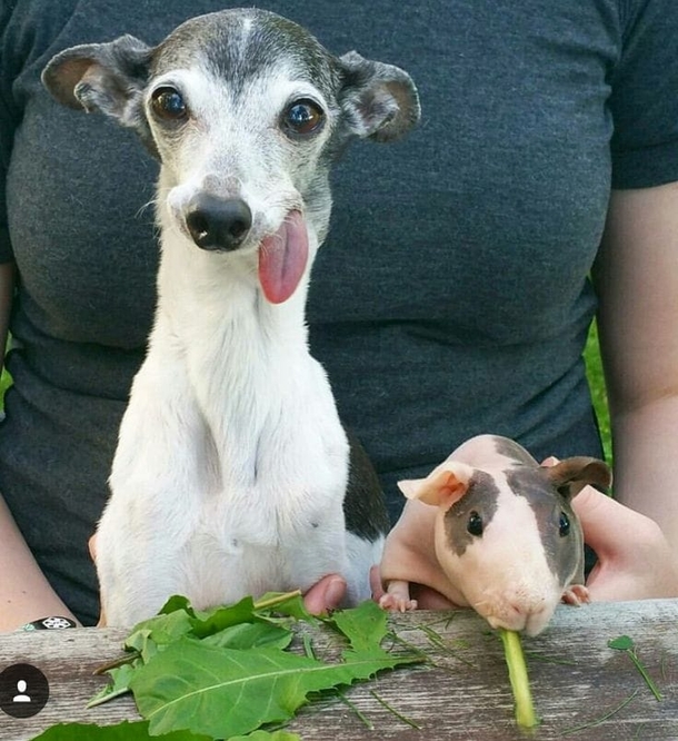 Trying to pose for a photo