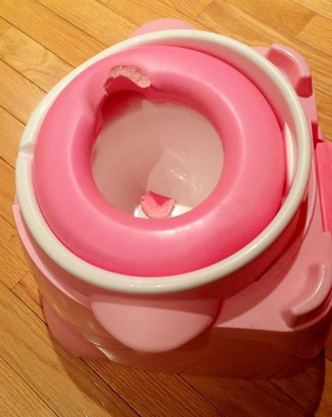 Trying to potty train my teething toddler She took a chomp right out of the foam seat