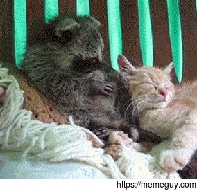 Trying to wake my girlfriend up for sex