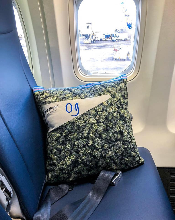 TSA loved it