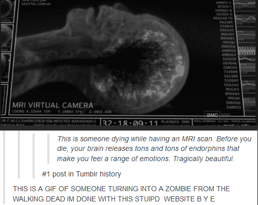 Tumblr learns what happens as you die