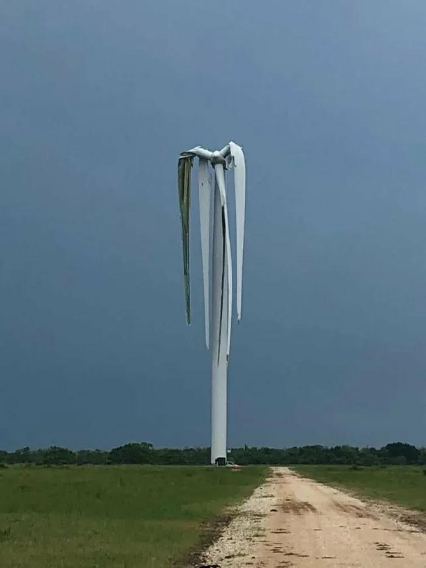 Turbine wilting due to the lack of rain