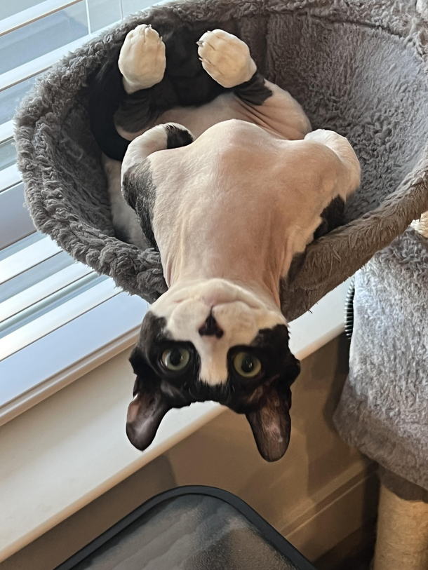 Turn Your Phone Upside Down when Looking at Me had to change the title my previous was not funny