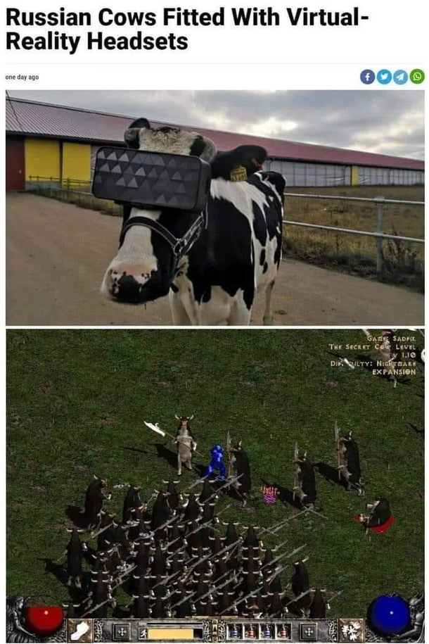 Turns Out There Is A Cow Level Meme Guy.
