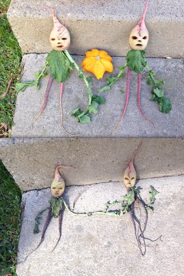 Turns out Veggie People get pretty creepy after a while