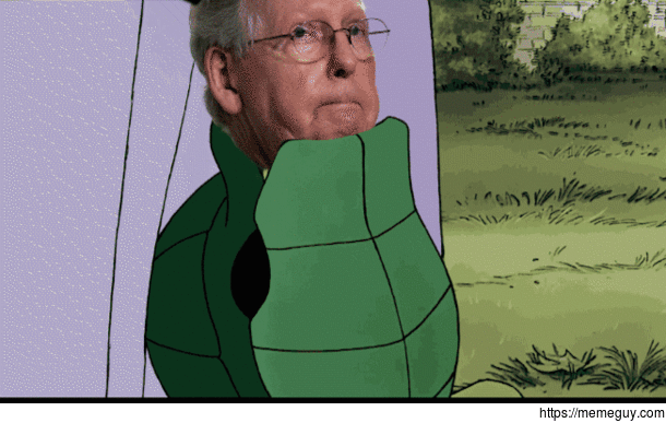 Turtle Boi