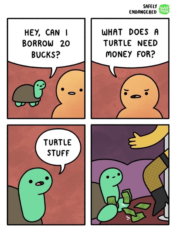Turtle stuff